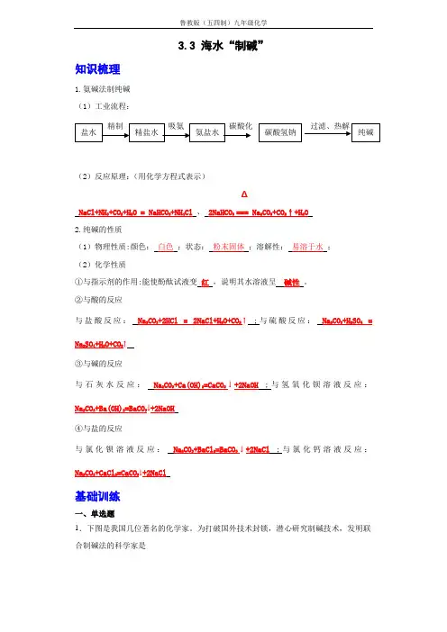 【同步专题】鲁教版(五四制)化学九年级全册 3