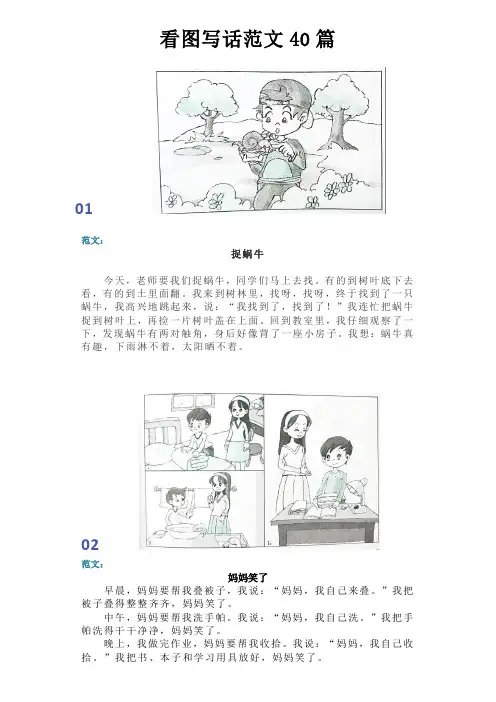 小学一二年级看图写话范文40篇