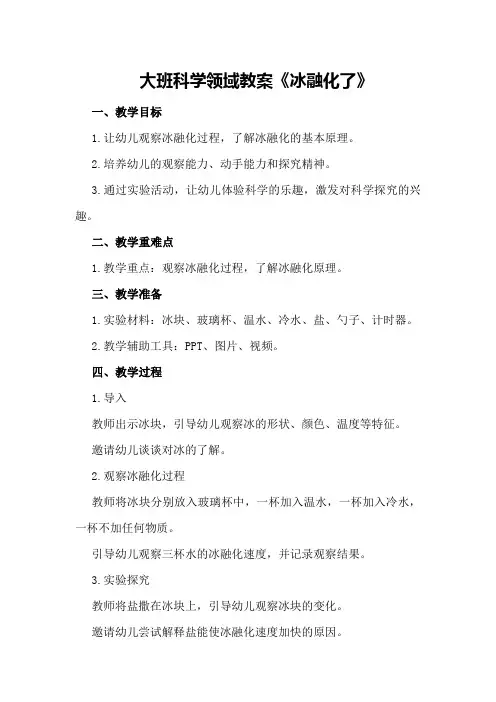 大班科学领域教案《冰融化了》