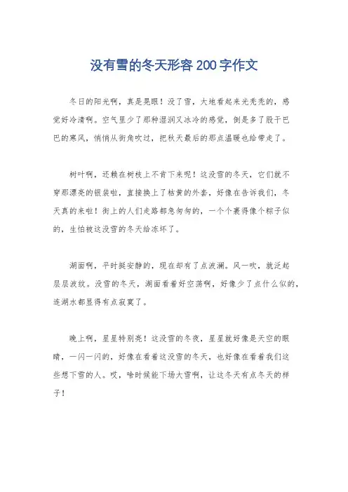 没有雪的冬天形容200字作文
