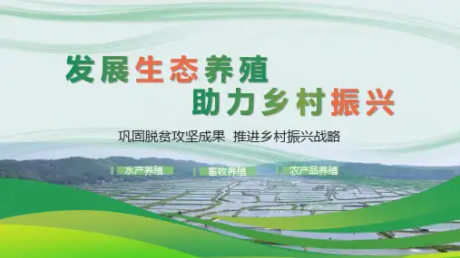 绿色简约风乡村振兴生态养殖项目方案汇报PPT模板