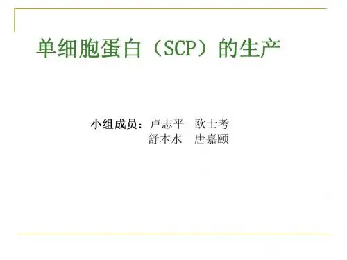 单细胞蛋白(SCP)的生产