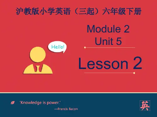 沪教版英语六年级下M2U5《Crafts》课件第二课时
