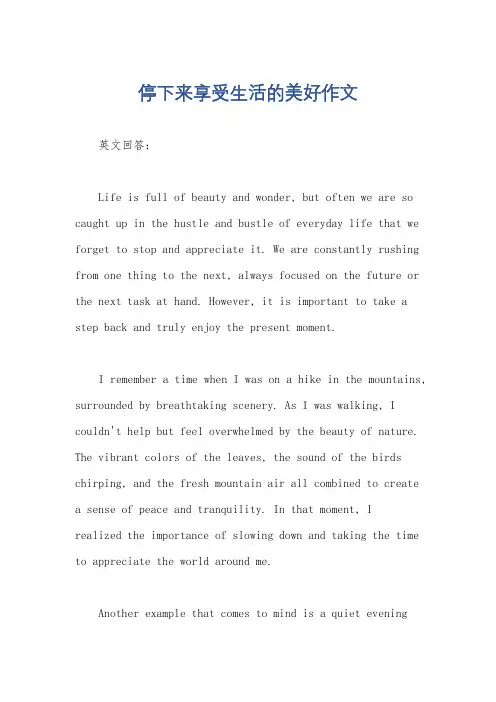 停下来享受生活的美好作文