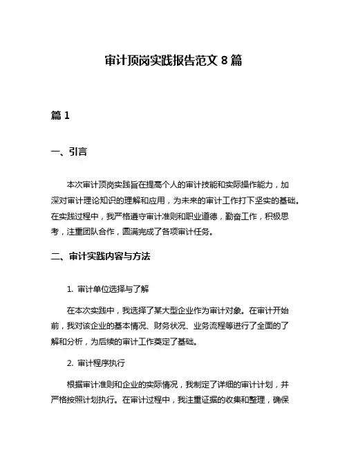 审计顶岗实践报告范文8篇