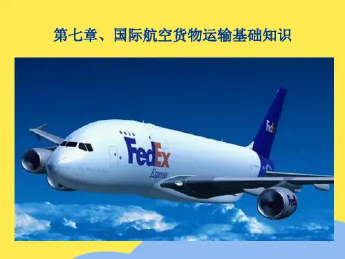 国际航空货物运输基础知识(共9张PPT)