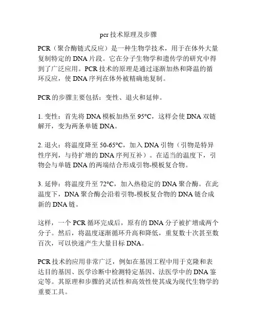 pcr技术原理及步骤