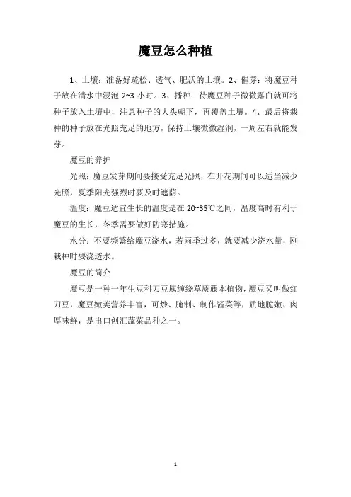 魔豆怎么种植
