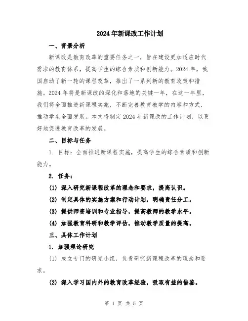2024年新课改工作计划