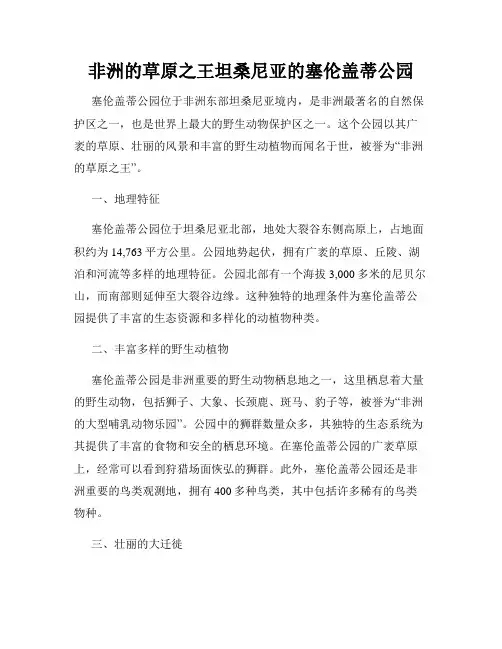 非洲的草原之王坦桑尼亚的塞伦盖蒂公园