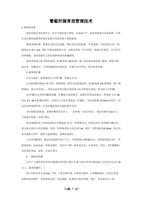 葡萄扦插育苗管理技术