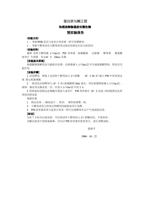 预实验报告