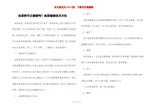油茶树可以嫁接吗？油茶嫁接技术方法