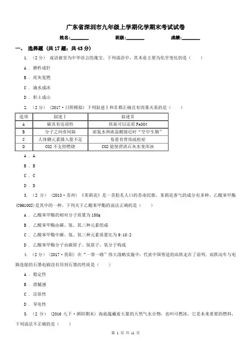 广东省深圳市九年级上学期化学期末考试试卷