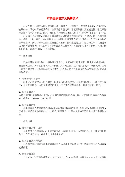 石斛组织培养及快繁技术