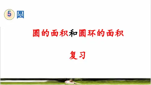 人教版六年级数学上册第五单元《圆的面积》复习课件