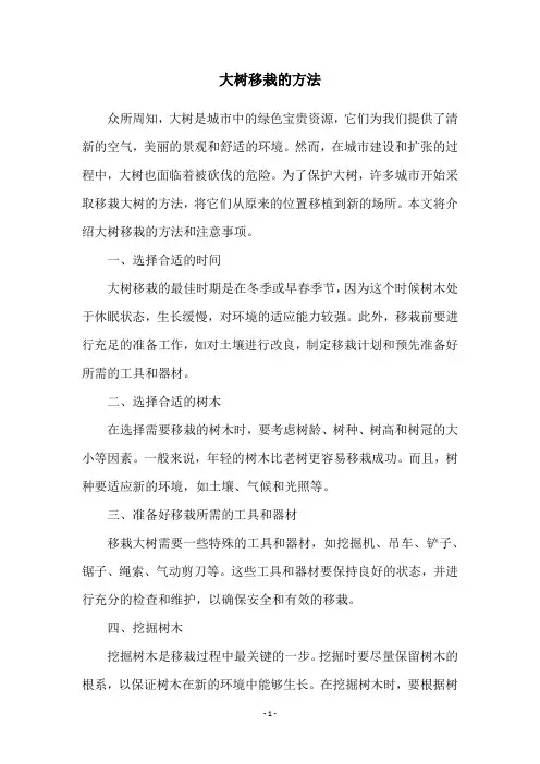 大树移栽的方法