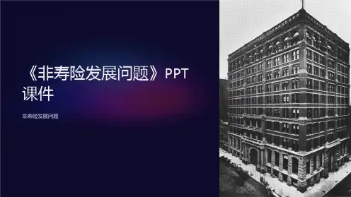 《非寿险发展问题》课件