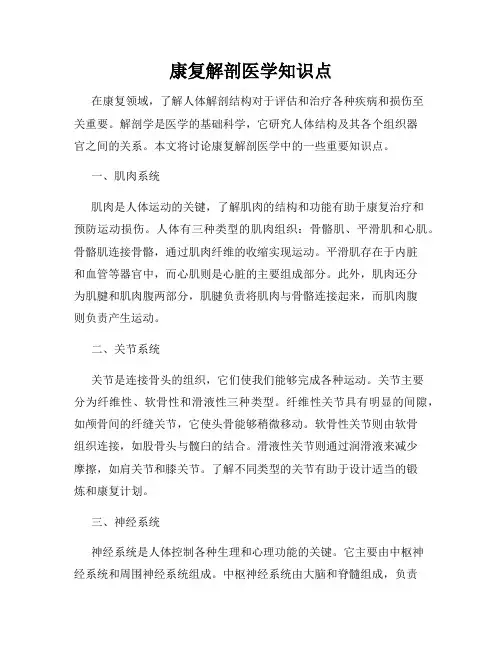 康复解剖医学知识点