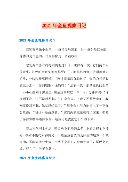 2021年金鱼观察日记
