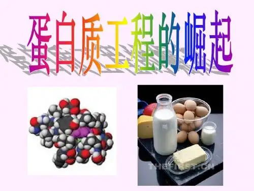 1.4蛋白质工程的崛起