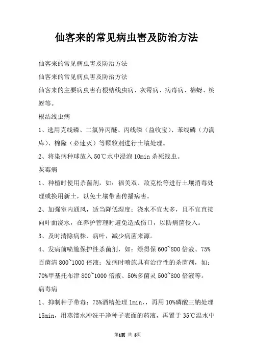 仙客来的常见病虫害及防治方法
