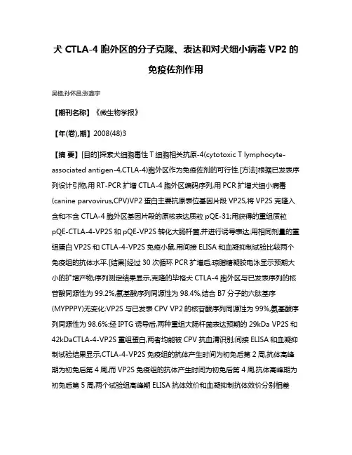犬CTLA-4胞外区的分子克隆、表达和对犬细小病毒VP2的免疫佐剂作用