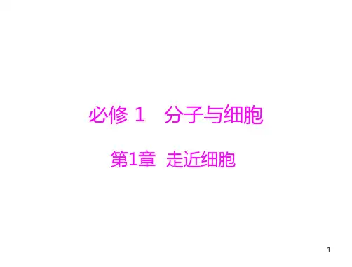 《精品》2020年高考生物一轮必修1第1章第1、2节从生物圈到细胞、细胞的多样性和统一性