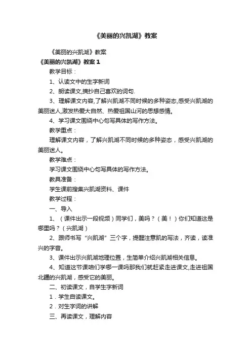 《美丽的兴凯湖》教案