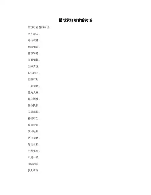 描写紧盯着看的词语