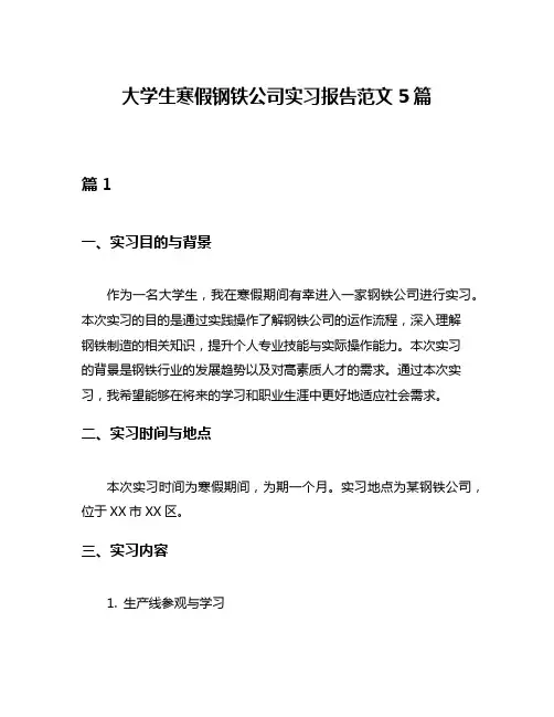 大学生寒假钢铁公司实习报告范文5篇
