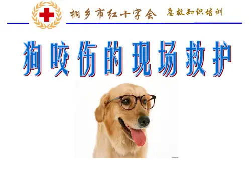 8狗咬伤的现场救护