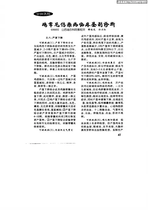 鸡常见传染病临床鉴别诊断