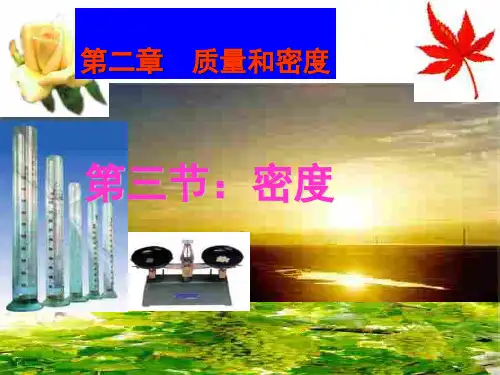 九年级物理九年级物理密度课件