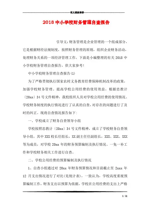 2018中小学校财务管理自查报告
