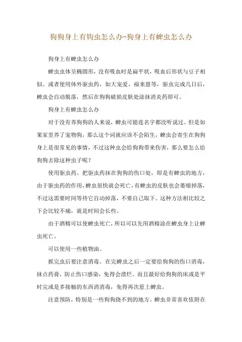 狗狗身上有钩虫怎么办-狗身上有蜱虫怎么办