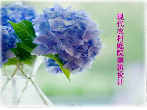 农村庭院设计PPT课件