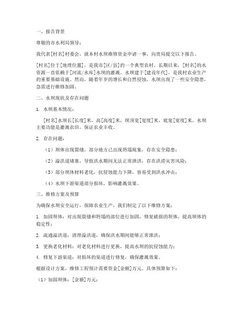 水坝维修资金申请报告