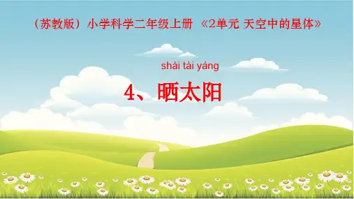 苏教版科学二年级上册4 晒太阳 课件