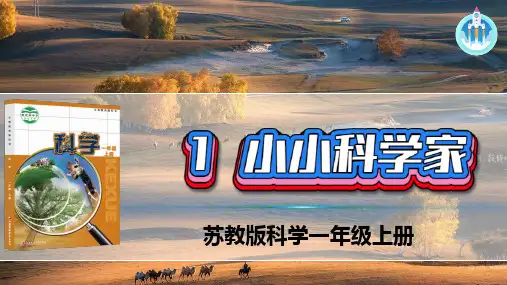 1小小科学家PPT课件苏教版科学一年级上册