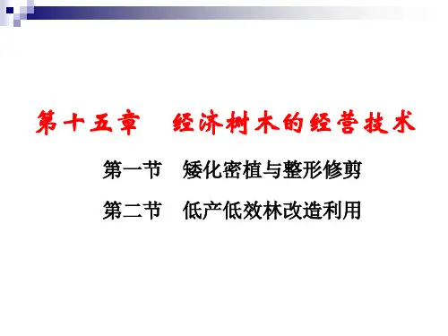 森林培育学课件第十五章 经济树木的经营技术