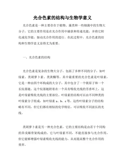 光合色素的结构与生物学意义