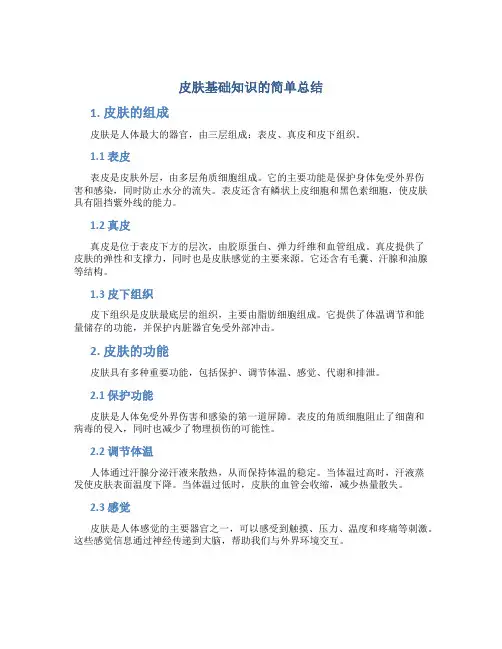 皮肤基础知识的简单总结