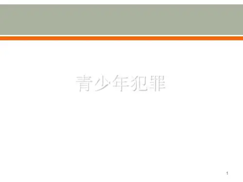 青少年犯罪ppt课件