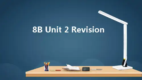 牛津译林版英语八年级 下册Unit2 Revision 课件