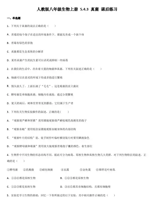 人教版八年级生物上册 5.4.3 真菌 课后练习