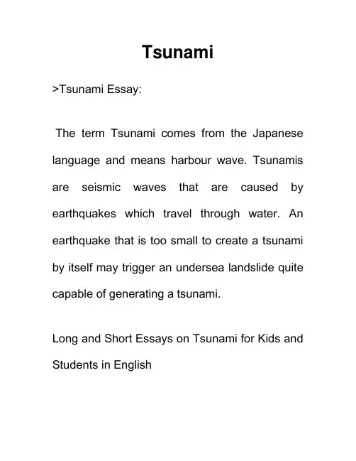 海啸 Tsunami 英语作文