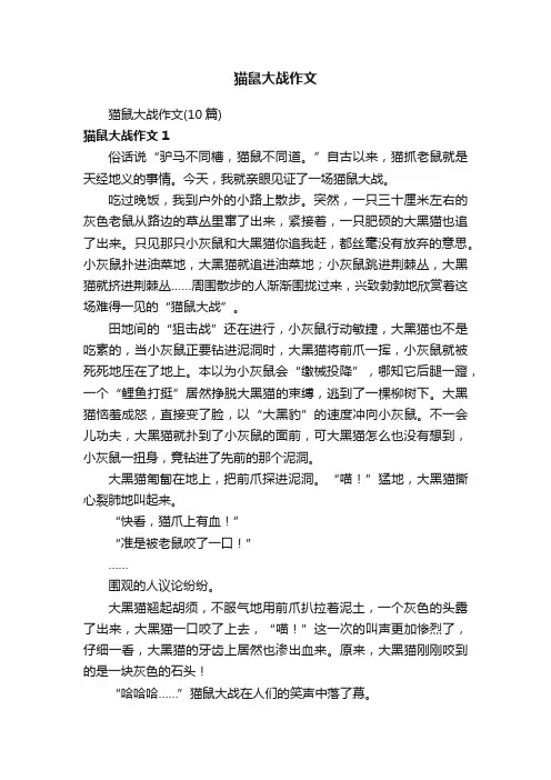 猫鼠大战作文