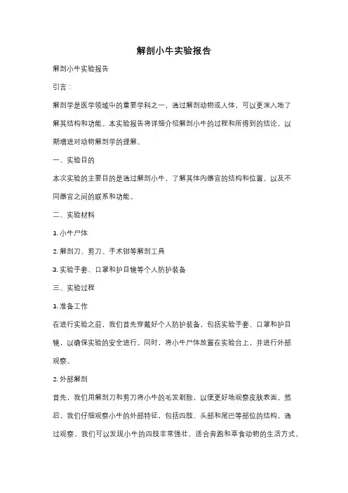 解剖小牛实验报告