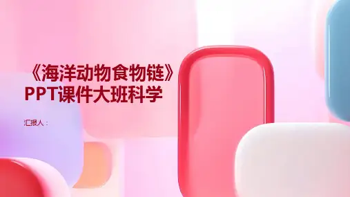 《海洋动物食物链》PPT课件大班科学